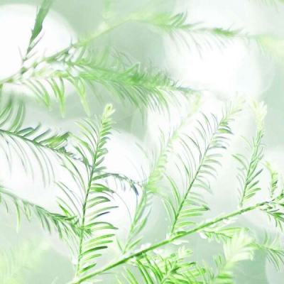 天剑神魔录华为版下载